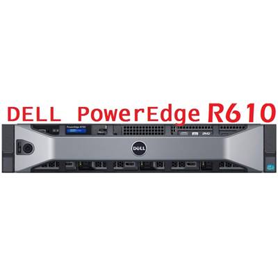 DELL R610